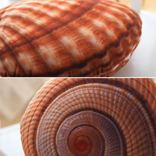 Load image into Gallery viewer, Marine Life Plush Pillows Conch &amp; Shell &amp; Starfish Stuffed Plush Toy Cute Cushion Dolls