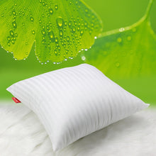 Load image into Gallery viewer, 2 Size Striped Vacuum Compression Pillow Core Square Pillow Inner Cushion Insert Sofa Decor