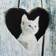Load image into Gallery viewer, Door Mat Cartoon Cute Cat Kitchen Rugs Bedroom Carpets Living Room Floor Mat