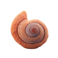 Load image into Gallery viewer, Marine Life Plush Pillows Conch &amp; Shell &amp; Starfish Stuffed Plush Toy Cute Cushion Dolls